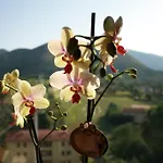 Emme House Bed and breakfast Pontecorvo