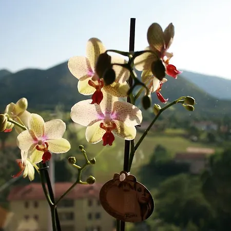 Emme House Bed & Breakfast Pontecorvo